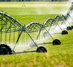 Irrigation